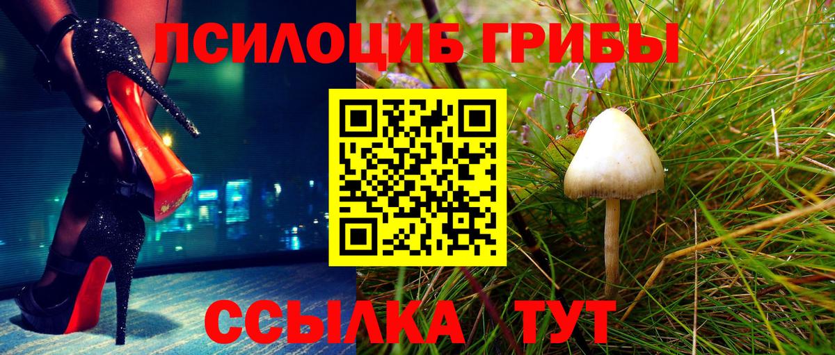 Псилоцибиновые грибы ЛСД Томск