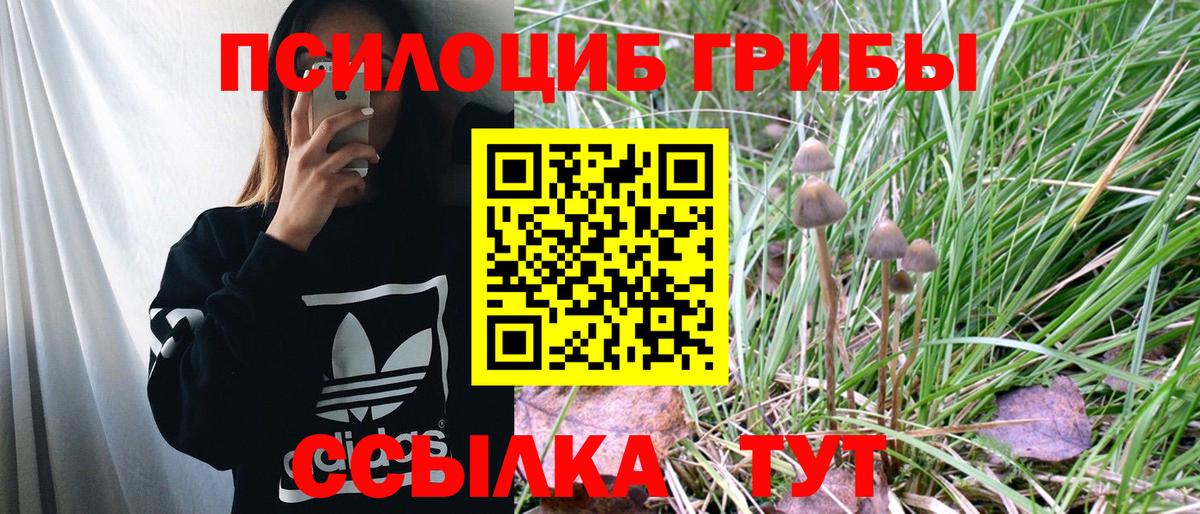 Томск  Галлюциногенные грибы MAGIC MUSHROOMS  Галлюциногенные грибы GOLDEN TEACHER  Вход с VPN 