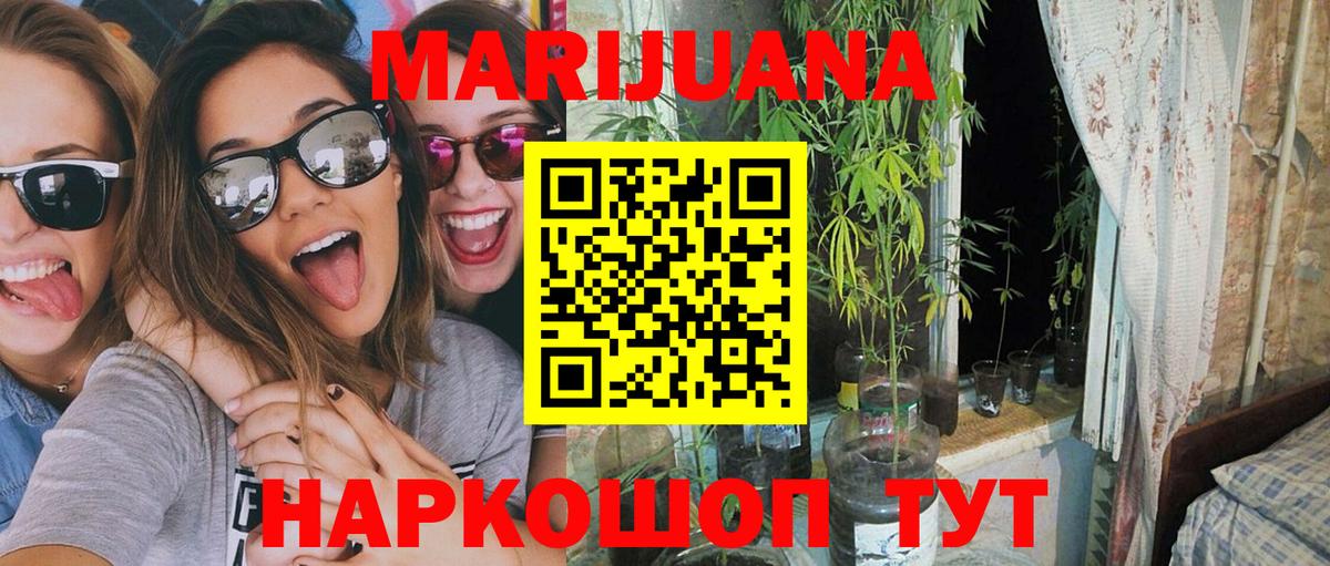 Шишки марихуана сатива Томск